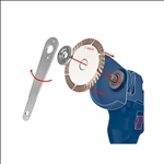 Bosch Fächerschleifscheibe X551 Expert for Metal, gerade, 125 mm, 60, Glasgewebe #2608607354
