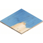 Bosch EXPERT N477 SCM Scheibe für Winkelschleifer, 100 x 16 mm, sehr fein, 25-tlg. #2608901263