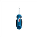 Bosch Schraubendreher TX 10x75 #1600A01V0A