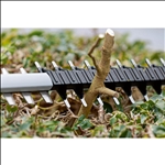 Bosch Akku-Heckenschere GHE 18V-50 #06008C9500