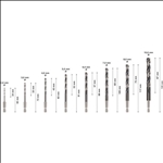 Bosch PRO Metal HSS-G Impact Spiralbohrer Set, 8-tlg., in Box #2608577146