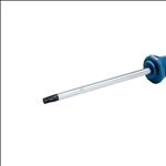 Bosch Schraubendreher, TX40 x 125 #1600A01V0F