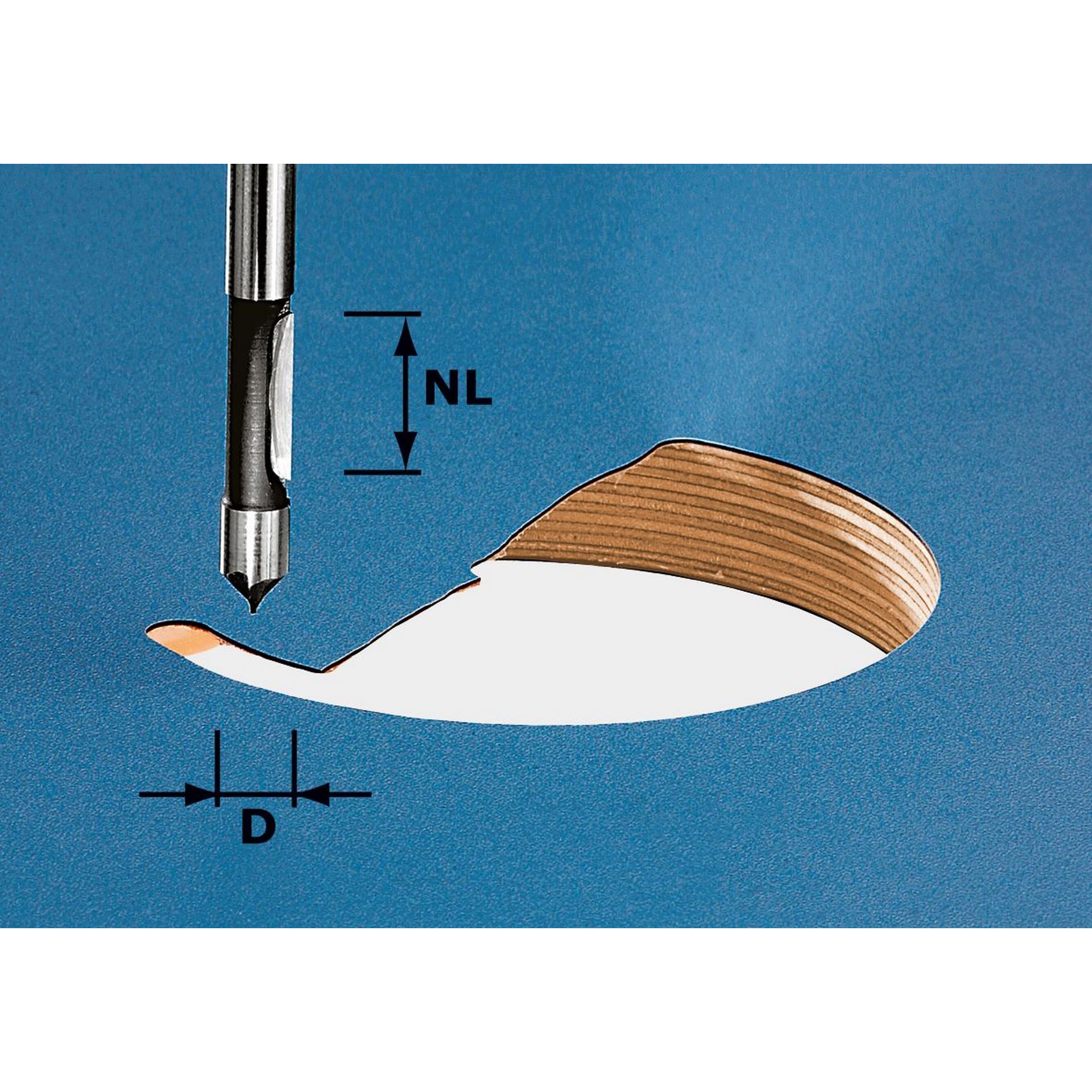 Festool Bohrfräser HW S8 D8/19 #491037